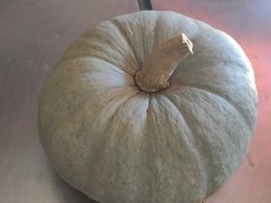 Calabaza Valenciana de 2 a 4 kg (aprox.)-0