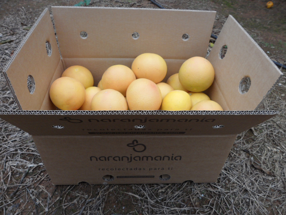 Caja de 9kg Pomelo Star Ruby ✔ -459