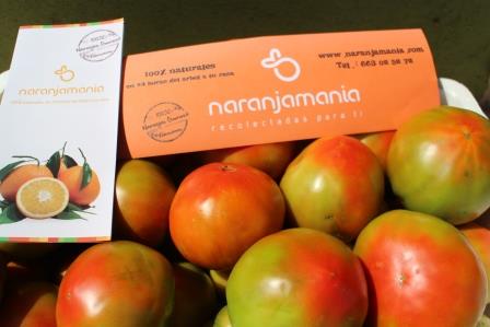 Tomate Óptima 9kg ✔-593