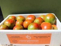 Caja Mixta 19kg de Naranja Zumo (14kg) + Tomate Valenciano (5kg)✔-588