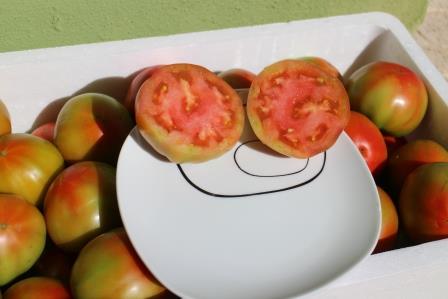 Tomate Óptima 5kg de Tamaño Mediano✔-571