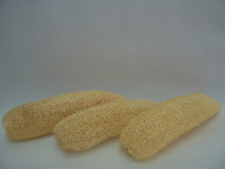 Esponja natural de luffa ✔-637