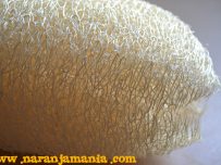 Esponja natural de luffa ✔-645