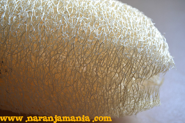 Esponja natural de luffa ✔-645