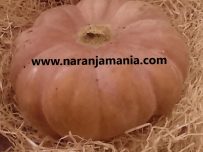 Calabaza Halloween(2,5kg a 3,5kg aprox.)-1066