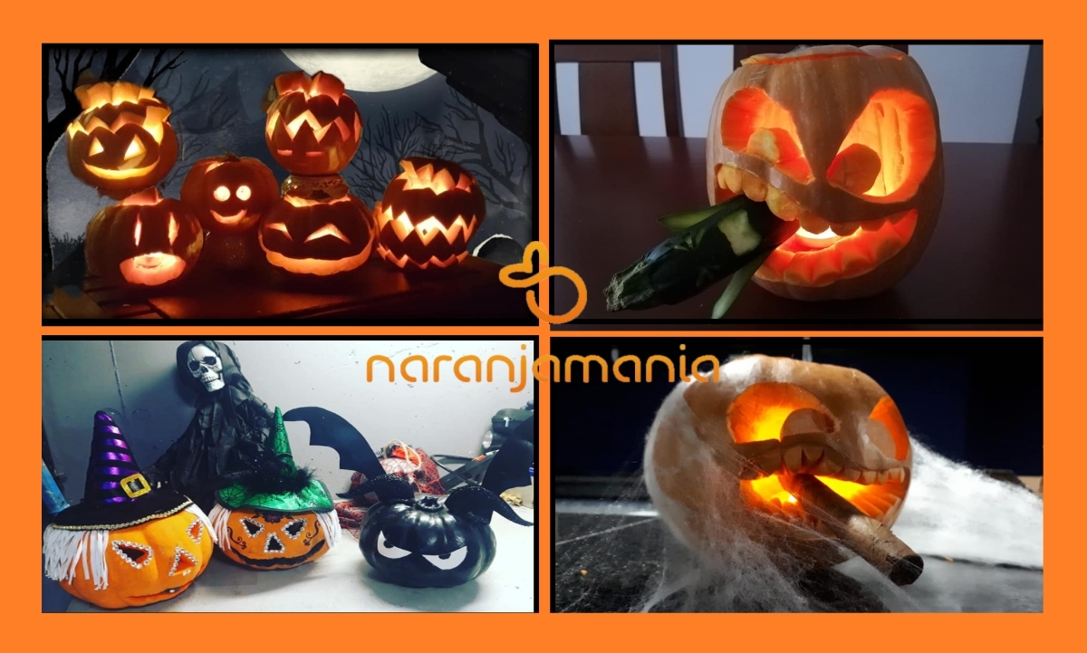 Calabaza Halloween(2,5kg a 3,5kg aprox.)-1032