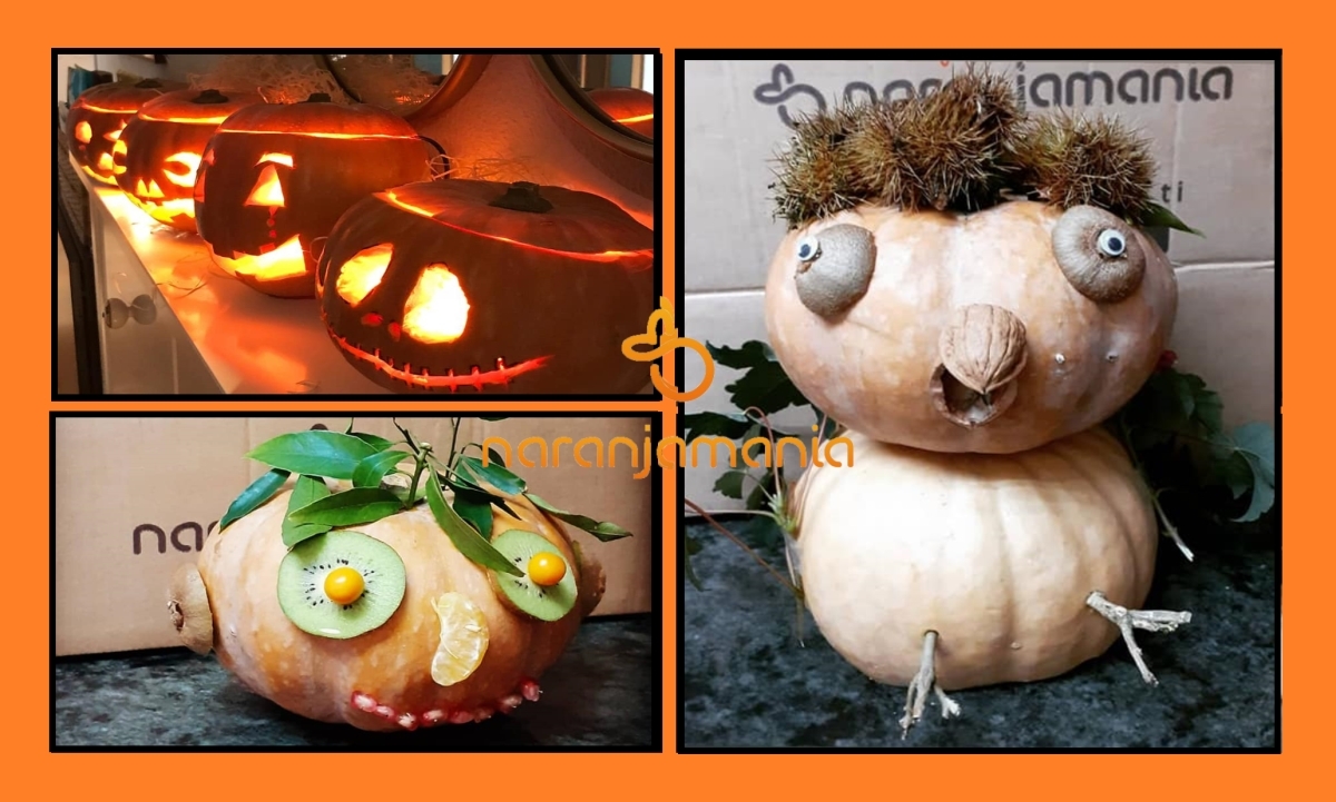 Calabaza Halloween(2,5kg a 3,5kg aprox.)-1033