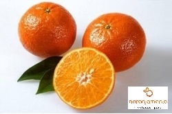 Mandarina 1kg ✔-1028
