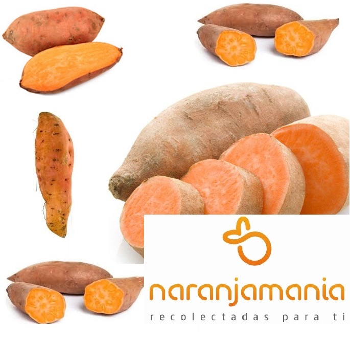 Boniato rojo 1kg ✔-886