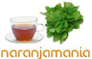 Ortiga verde 50gr-900