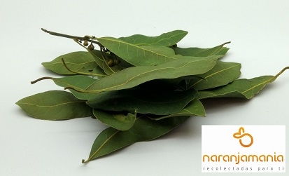 LAUREL SECO 50grms.-0