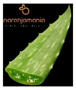 Aloe Vera (hoja) ✔-0