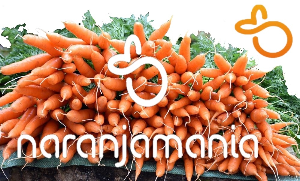 Zanahoria 1kg ✔-960