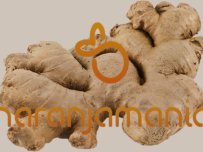 Jengibre 500g ✔-972