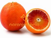 Naranja SANGUINA DULCE caja de 9kg-1109