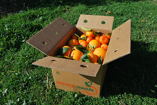 Caja Mixta de 9kg de Naranja de Zumo y Mandarina