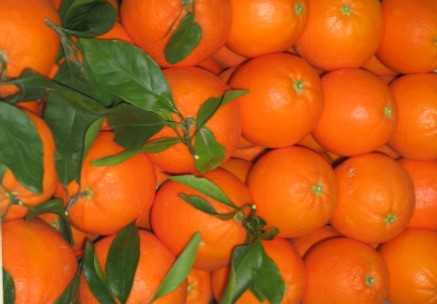Caja Mixta de 9kg de Naranja de Mesa y Zumo
