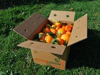 Caja Mixta de 9kg de Naranja de Zumo y Mandarina