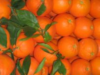 Caja Mixta de 9kg de Naranja de Mesa y Zumo